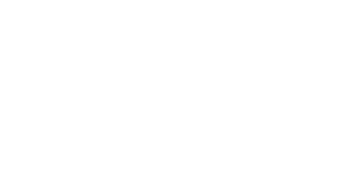 NIA Trans logo